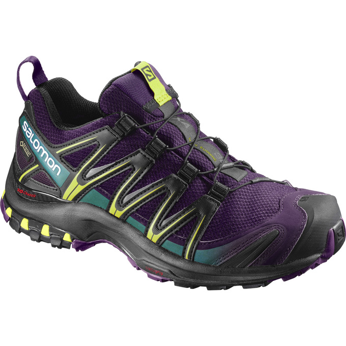 Salomon Singapore Womens Trail Running Shoes - XA PRO 3D GTX® W Purple/Black | 21376-UHGJ